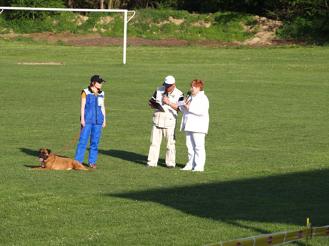 www.atibox.net * www.euroboxer.eu * www.boxergenealogia.eu